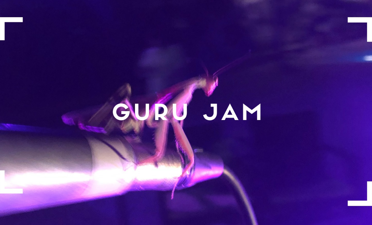 The poster of the event — GURU JAM. Electronic acoustic jam in Location