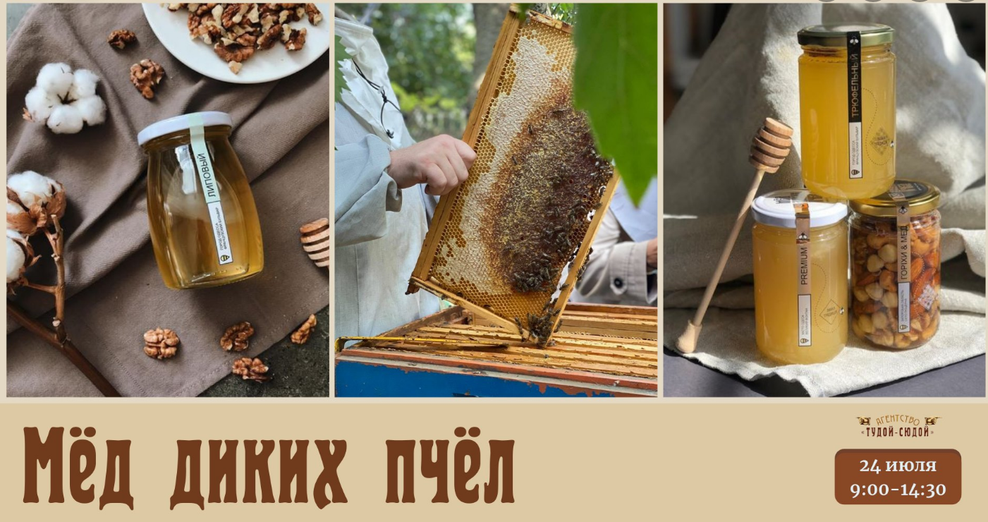 The poster of the event — Wild bee honey in Soborna square