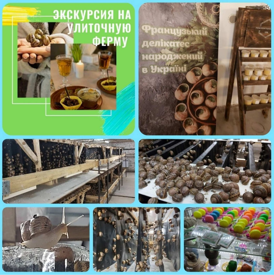 Das Plakat der Veranstaltung — Wir gehen zur Schneckenfarm mit Verkostung (Nikolaev-Region) in 